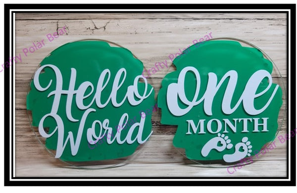 Baby's Milestone Acrylic Markers