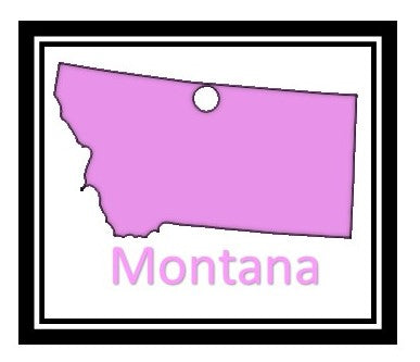 Acrylic Personalized Keychain - States